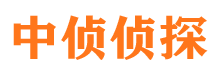 长岭侦探